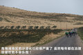昊锐 图片