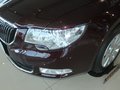 昊锐 2010款 1.4TSI DSG 优雅版图片