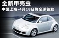 甲壳虫 图片