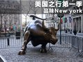 甲壳虫 图片
