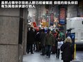 甲壳虫 图片