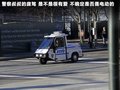 甲壳虫 图片