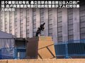 甲殼蟲 圖片