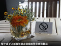 指南者(进口) 图片