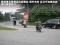 路宝 图片