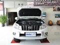普拉多 普拉多 4.0L AT TX-L 7座 2010款图片