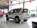 普拉多 普拉多 4.0L AT TX-L 7座 2010款图片