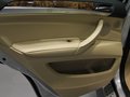 宝马X5(进口) 2011款 xDrive35i 领先型图片
