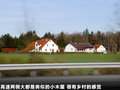 奥迪R8 图片