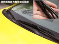 瑞纳 图片