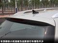Passat 图片