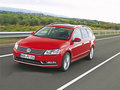 Passat 图片