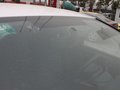 世嘉 2011款 1.6 MT 时尚型图片