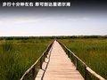 威志V2 图片