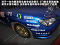 翼豹 图片
