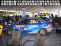 翼豹 图片