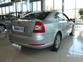 明锐 2010款 2.0TSI DSG RS图片