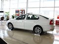 明锐 明锐RS 2.0T 5座 2010款图片
