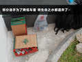 奥迪A4L 图片