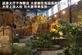 英菲尼迪M 图片