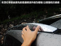 智跑 图片