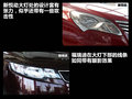 福瑞迪 图片