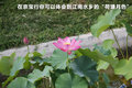 宝马3系 图片