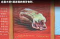 奥迪Q5 图片