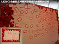 雪铁龙C5 图片