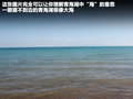海马骑士 图片