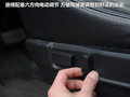 欧蓝德（进口） 图片