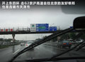 欧蓝德（进口） 图片