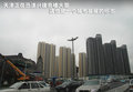欧蓝德（进口） 图片