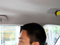 逸致 图片