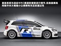 Polo 图片
