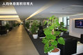 宝马5系 图片
