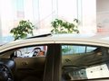 阳光 2011款 新阳光 1.5L CVT XL 豪华版图片