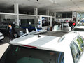 Tiguan 2.0T R-Line 5座 2011款图片