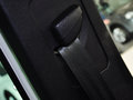 Tiguan 2.0T R-Line 5座 2011款图片