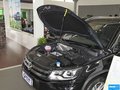 Tiguan 图片