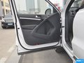 Tiguan 图片