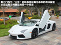 Aventador 图片