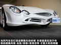 大蛇 图片