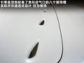 大蛇 图片