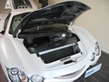 大蛇 大蛇 3.3 AT 豪华型 2010款 试驾图片