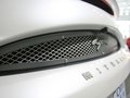 大蛇 大蛇 3.3 AT 豪华型 2010款 试驾图片