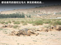 宝马X3（进口） 图片