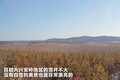 宝马X3（进口） 图片