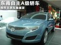 V5菱致 图片