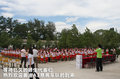 奥迪A3(进口) 图片